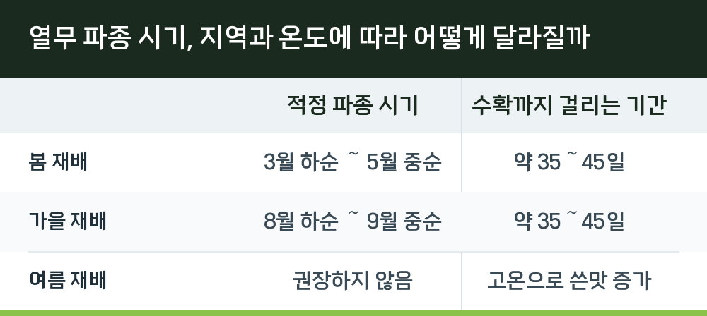 열무 파종 시기, 지역과 온도에 따라 어떻게 달라질까