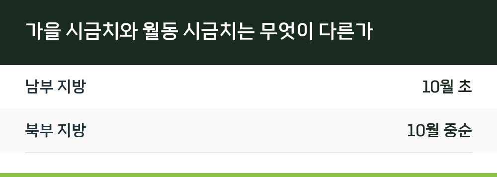가을 시금치와 월동 시금치는 무엇이 다른가