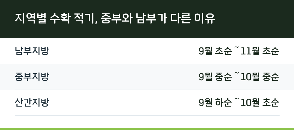 지역별 수확 적기, 중부와 남부가 다른 이유