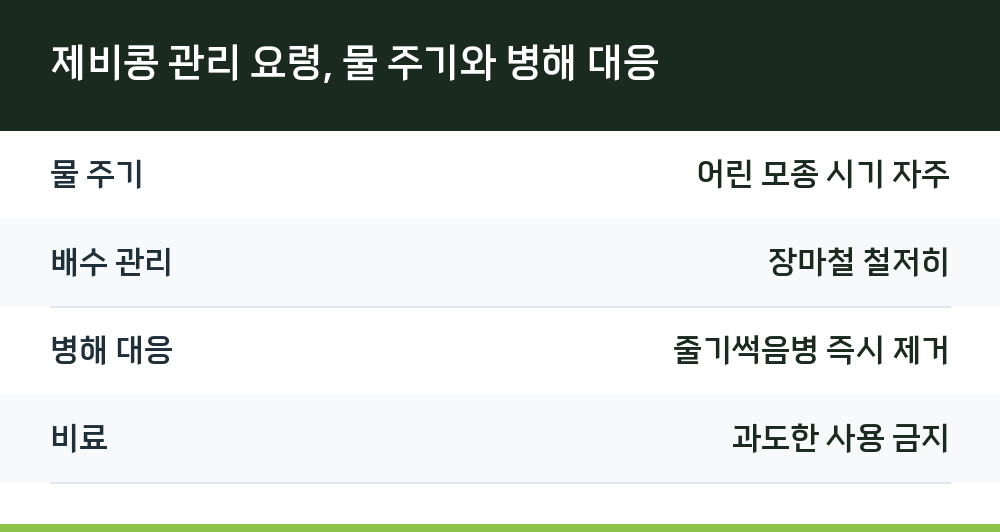 제비콩 관리 요령, 물 주기와 병해 대응