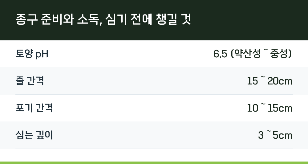종구 준비와 소독, 심기 전에 챙길 것