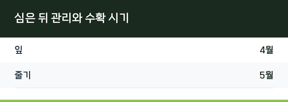 심은 뒤 관리와 수확 시기