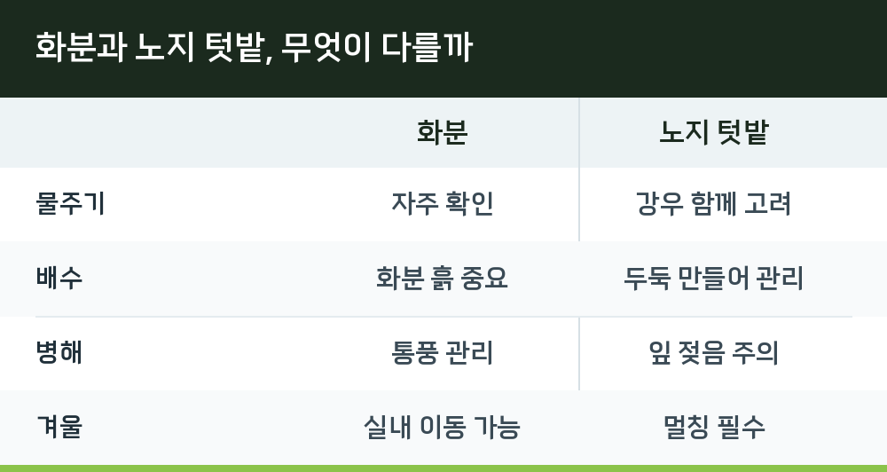 화분과 노지 텃밭, 무엇이 다를까