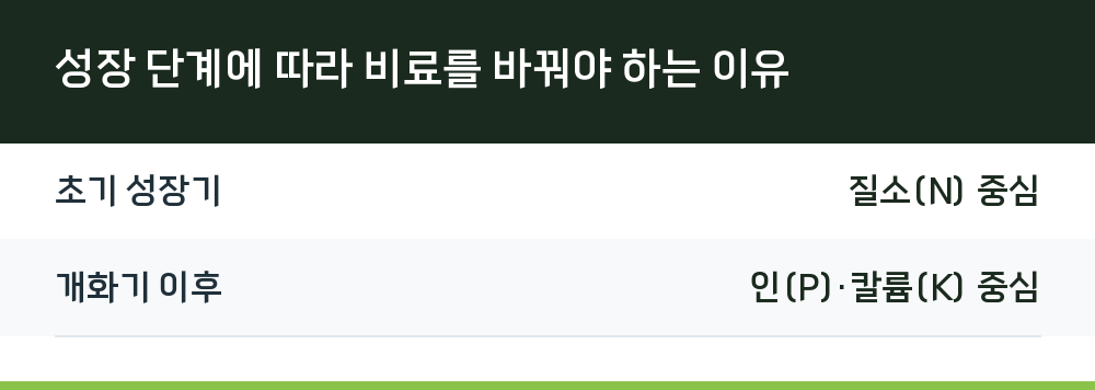 성장 단계에 따라 비료를 바꿔야 하는 이유