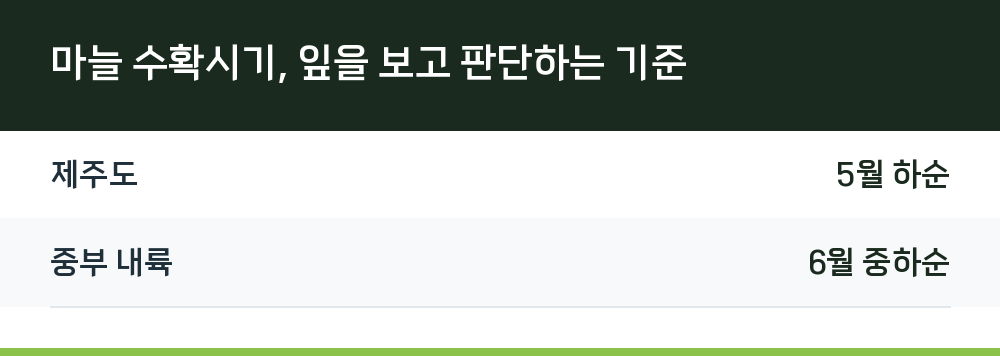 마늘 수확시기, 잎을 보고 판단하는 기준