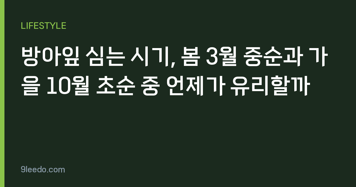 방아잎 심는 시기, 봄 3월 중순과 가을 10월 초순 중 언제가 유리할까