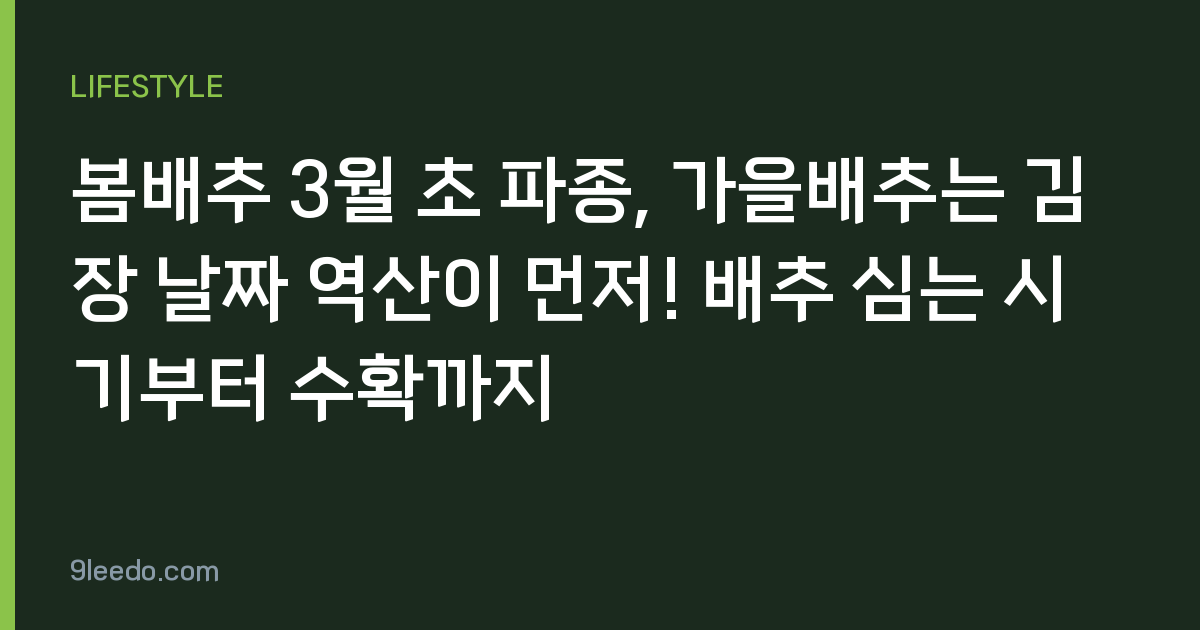 봄배추 3월 초 파종, 가을배추는 김장 날짜 역산이 먼저! 배추 심는 시기부터 수확까지