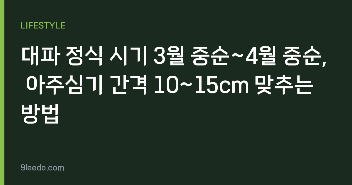 대파 정식 시기 3월 중순~4월 중순, 아주심기 간격 10~15cm 맞추는 방법