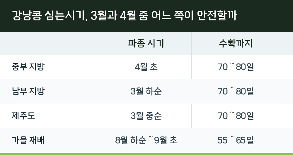 강낭콩 심는시기, 3월과 4월 중 어느 쪽이 안전할까