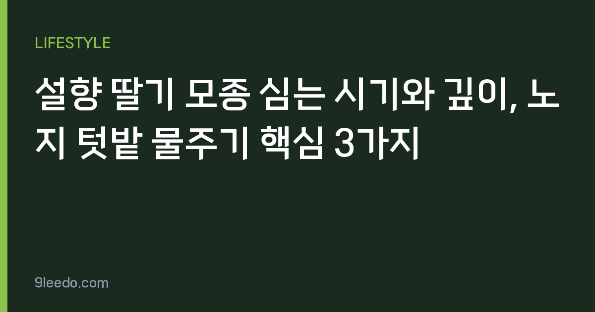 설향 딸기 모종 심는 시기와 깊이, 노지 텃밭 물주기 핵심 3가지