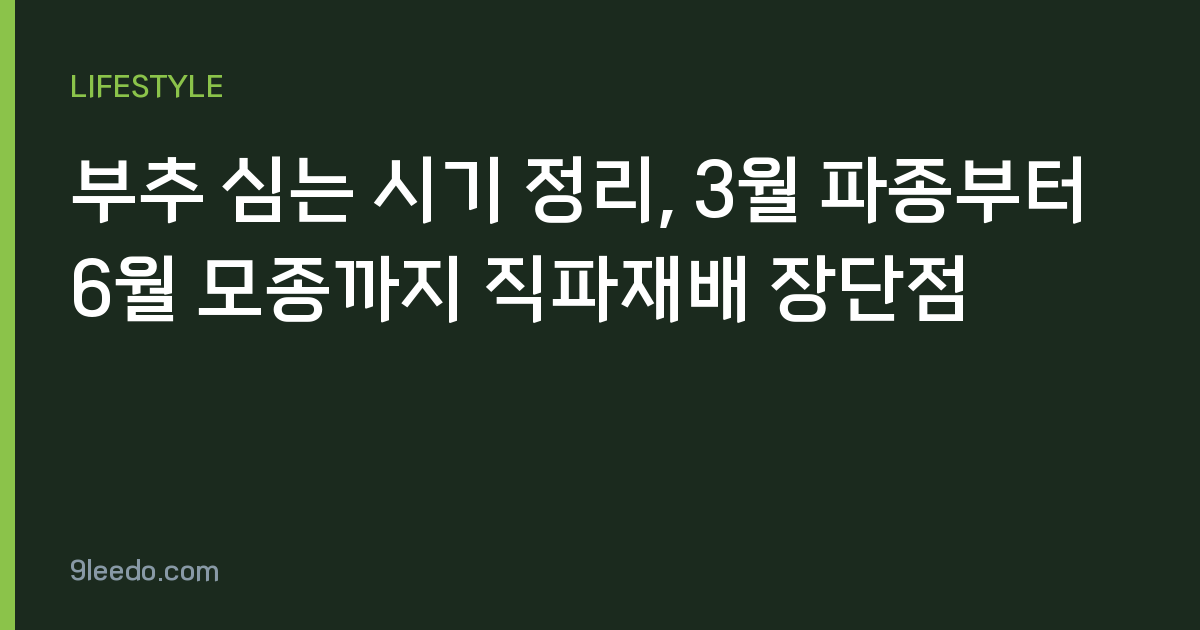 부추 심는 시기 정리, 3월 파종부터 6월 모종까지 직파재배 장단점
