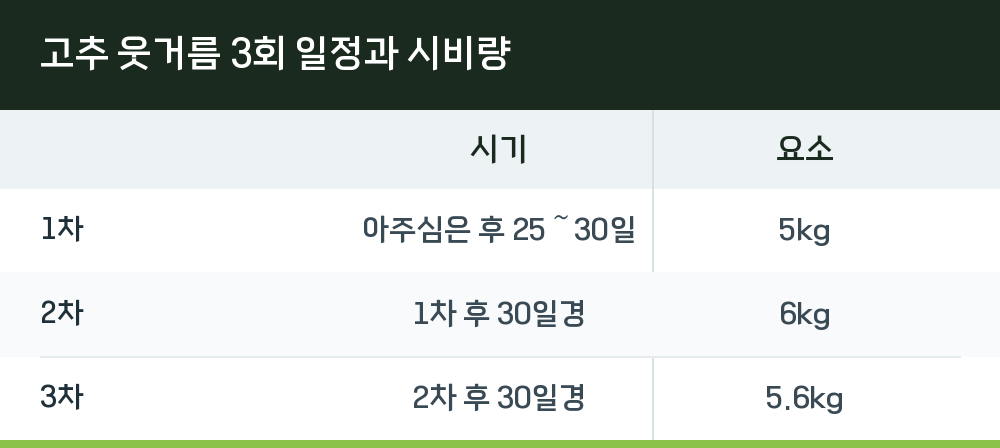 고추 웃거름 3회 일정과 시비량