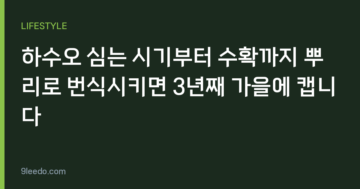 하수오 심는 시기부터 수확까지 뿌리로 번식시키면 3년째 가을에 캡니다