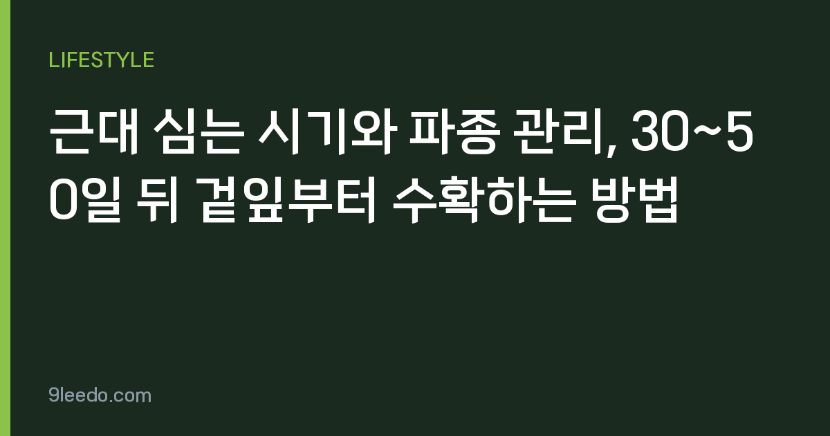 근대 심는 시기와 파종 관리, 30~50일 뒤 겉잎부터 수확하는 방법