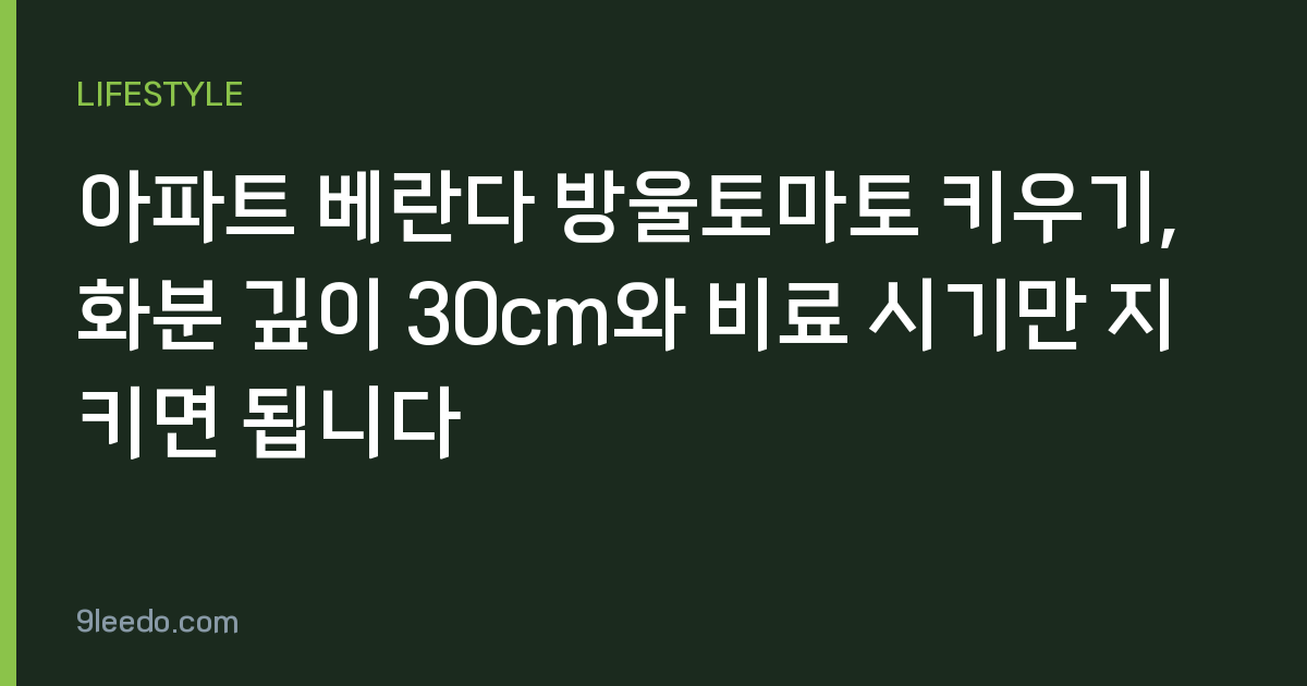 아파트 베란다 방울토마토 키우기, 화분 깊이 30cm와 비료 시기만 지키면 됩니다