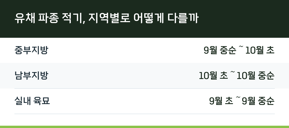 유채 파종 적기, 지역별로 어떻게 다를까