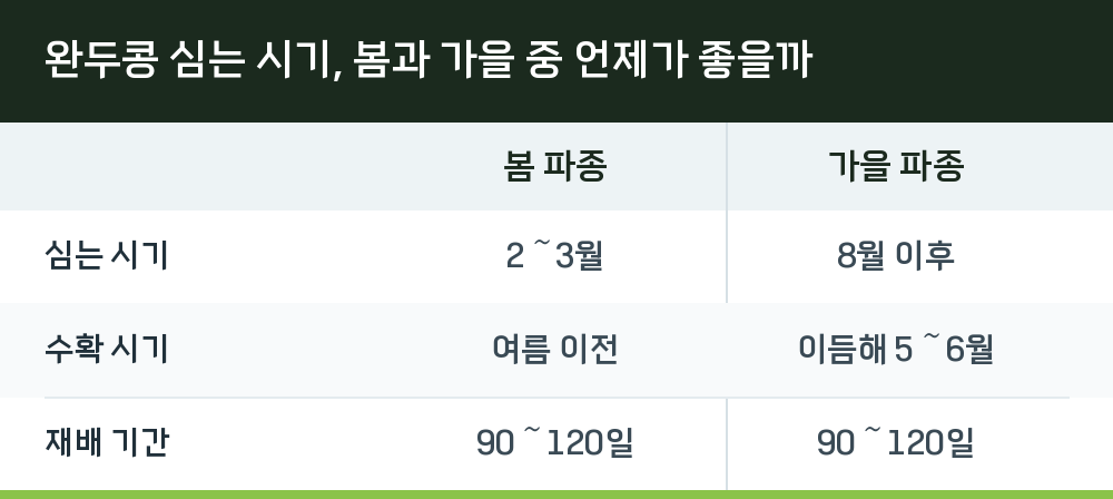 완두콩 심는 시기, 봄과 가을 중 언제가 좋을까