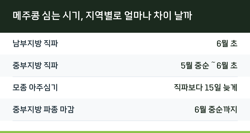 메주콩 심는 시기, 지역별로 얼마나 차이 날까