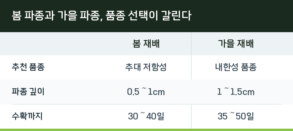 봄 파종과 가을 파종, 품종 선택이 갈린다