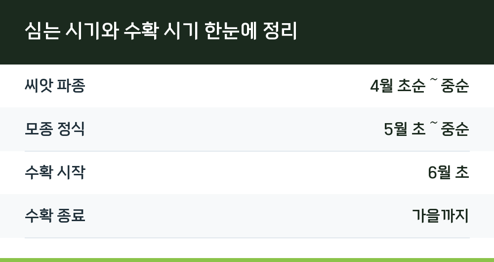 심는 시기와 수확 시기 한눈에 정리