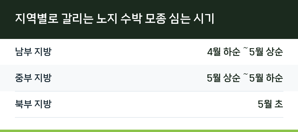 지역별로 갈리는 노지 수박 모종 심는 시기