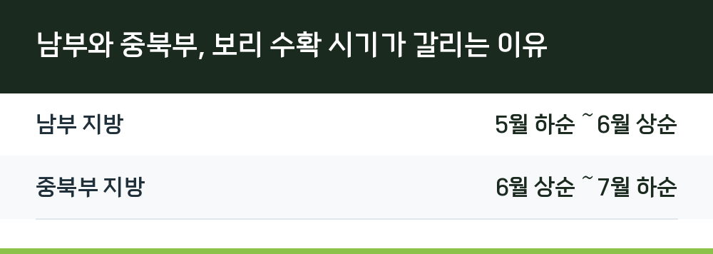 남부와 중북부, 보리 수확 시기가 갈리는 이유
