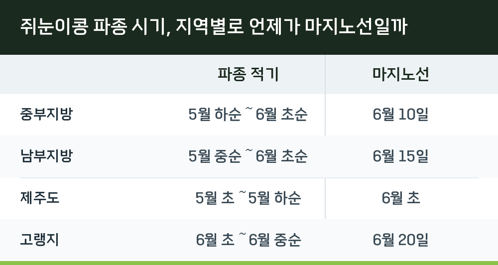 쥐눈이콩 파종 시기, 지역별로 언제가 마지노선일까