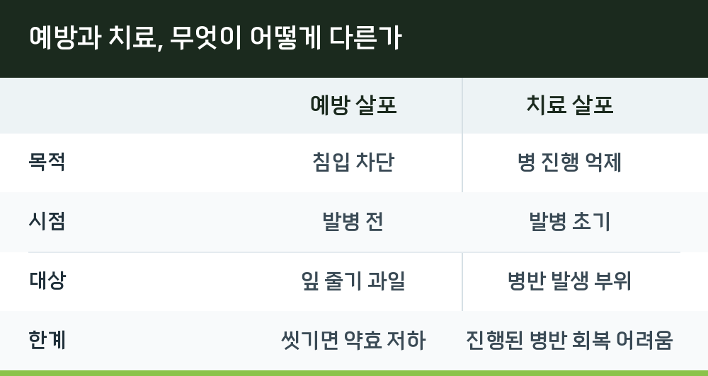 예방과 치료, 무엇이 어떻게 다른가