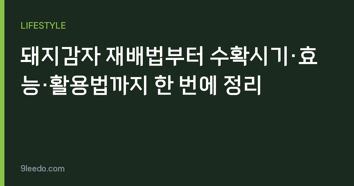돼지감자 재배법부터 수확시기·효능·활용법까지 한 번에 정리