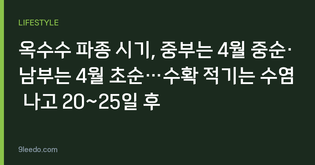 옥수수 파종 시기, 중부는 4월 중순·남부는 4월 초순…수확 적기는 수염 나고 20~25일 후