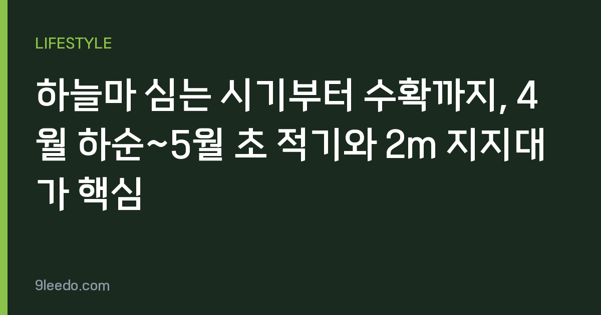 하늘마 심는 시기부터 수확까지, 4월 하순~5월 초 적기와 2m 지지대가 핵심