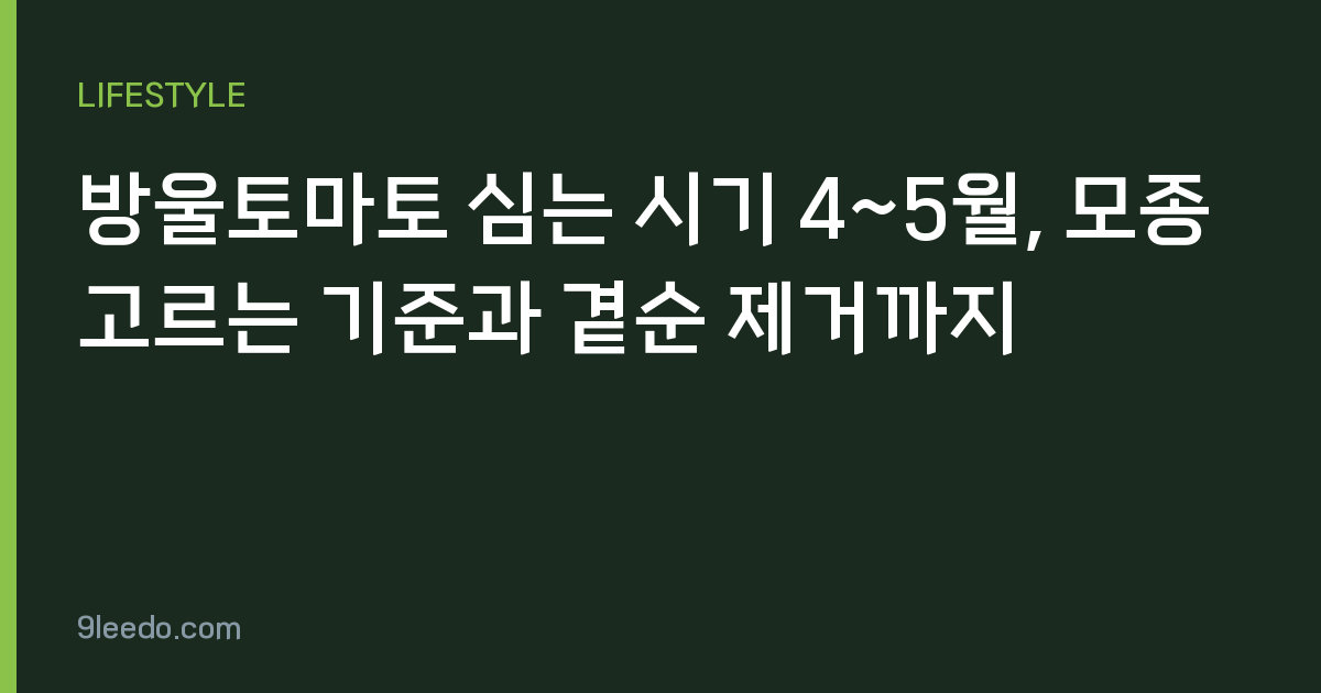 방울토마토 심는 시기 4~5월, 모종 고르는 기준과 곁순 제거까지