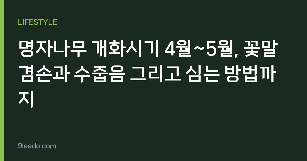 명자나무 개화시기 4월~5월, 꽃말 겸손과 수줍음 그리고 심는 방법까지