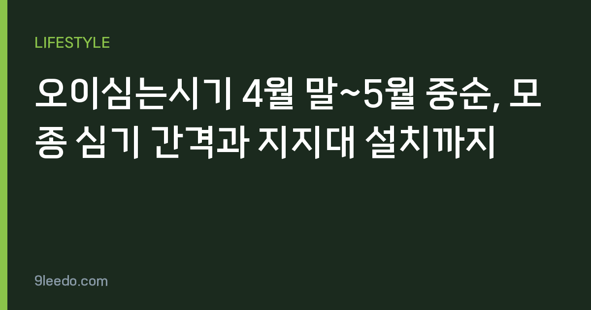 오이심는시기 4월 말~5월 중순, 모종 심기 간격과 지지대 설치까지