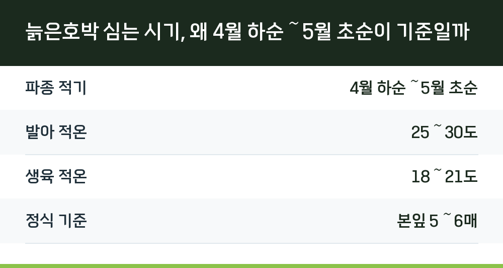 늙은호박 심는 시기, 왜 4월 하순～5월 초순이 기준일까