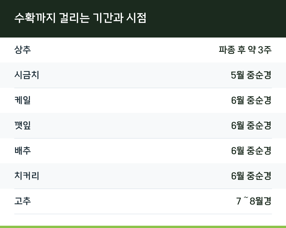 수확까지 걸리는 기간과 시점