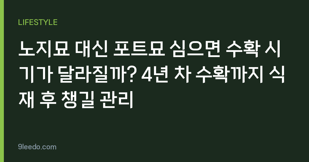 노지묘 대신 포트묘 심으면 수확 시기가 달라질까? 4년 차 수확까지 식재 후 챙길 관리
