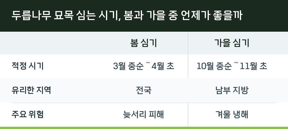두릅나무 묘목 심는 시기, 봄과 가을 중 언제가 좋을까