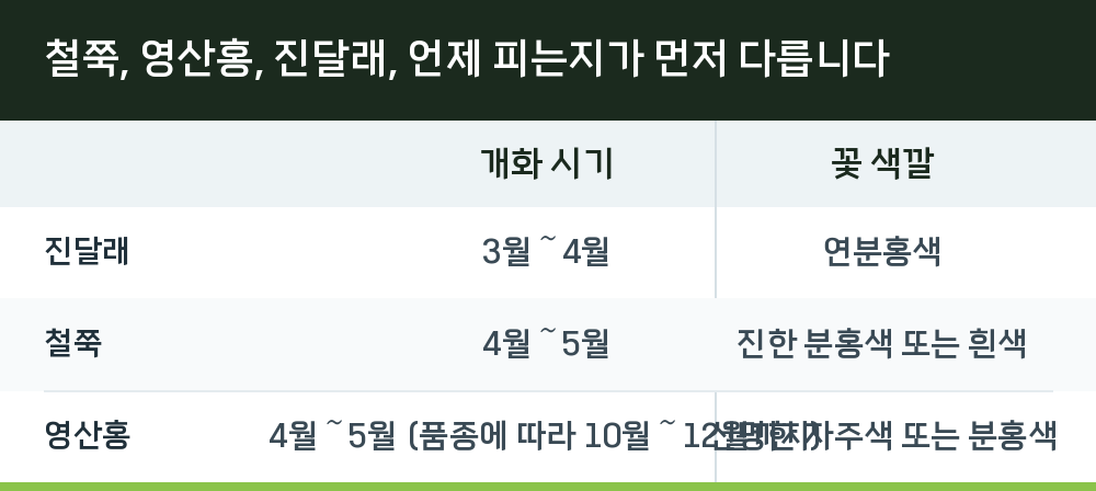 철쭉, 영산홍, 진달래, 언제 피는지가 먼저 다릅니다