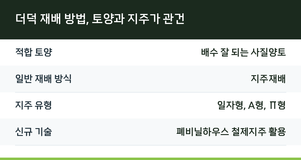더덕 재배 방법, 토양과 지주가 관건