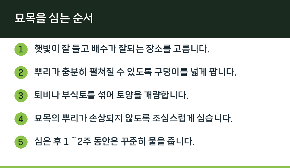 묘목을 심는 순서