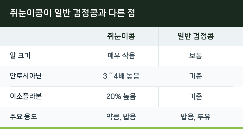 쥐눈이콩이 일반 검정콩과 다른 점