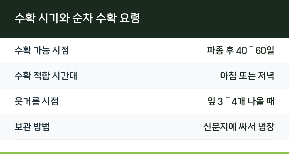 수확 시기와 순차 수확 요령