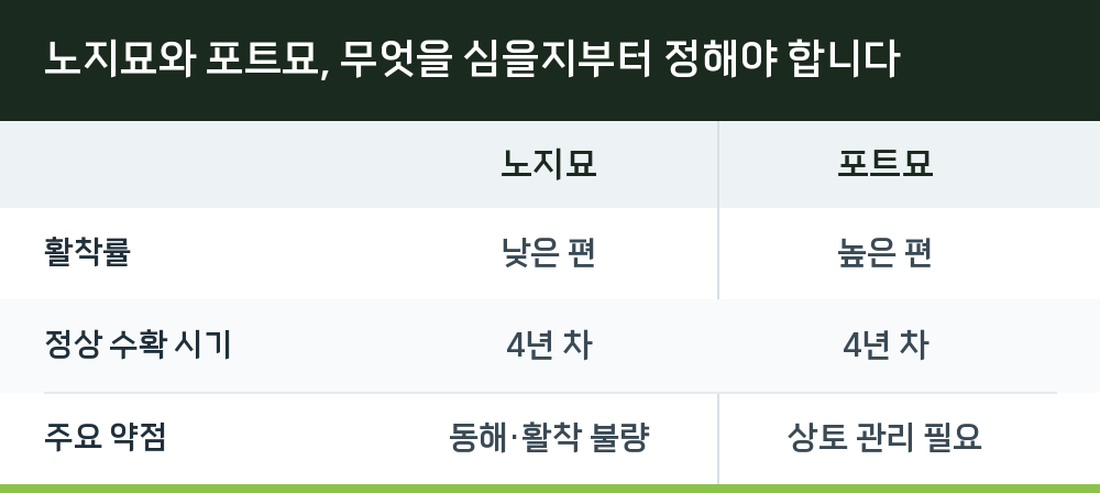 노지묘와 포트묘, 무엇을 심을지부터 정해야 합니다