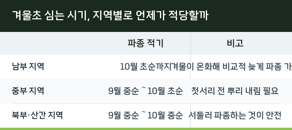 겨울초 심는 시기, 지역별로 언제가 적당할까