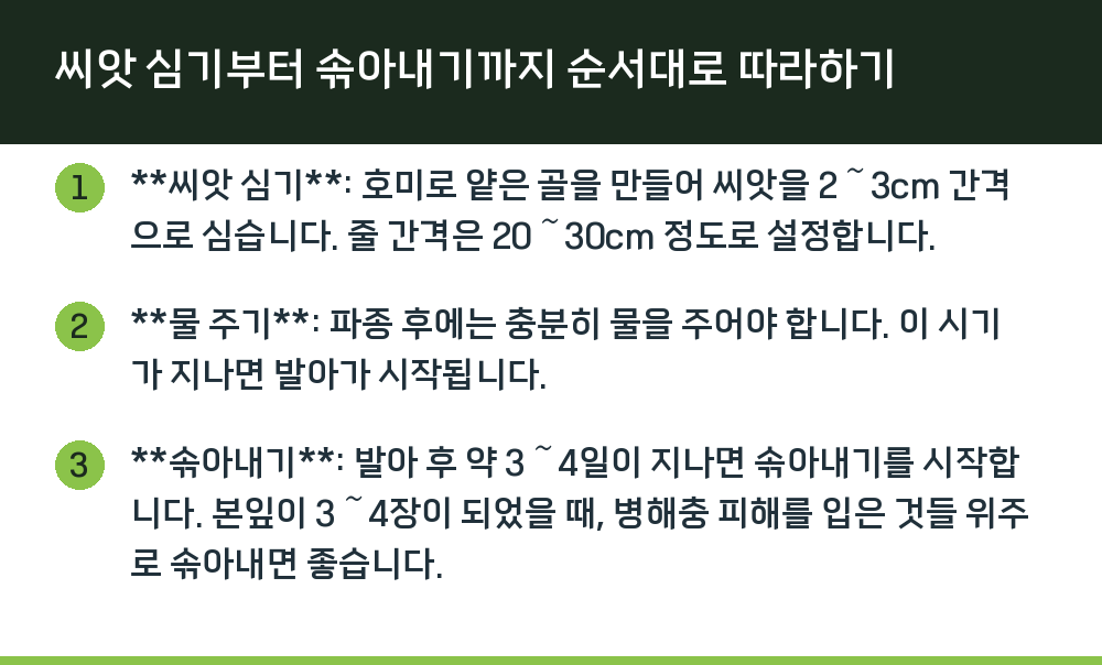 씨앗 심기부터 솎아내기까지 순서대로 따라하기