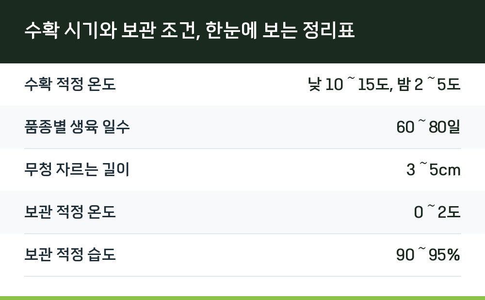 수확 시기와 보관 조건, 한눈에 보는 정리표