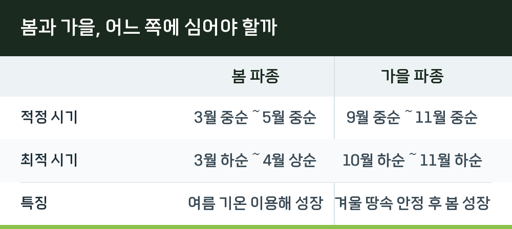 봄과 가을, 어느 쪽에 심어야 할까