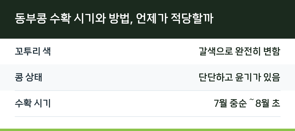 동부콩 수확 시기와 방법, 언제가 적당할까