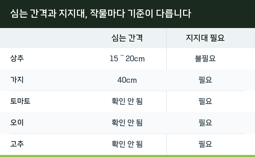 심는 간격과 지지대, 작물마다 기준이 다릅니다